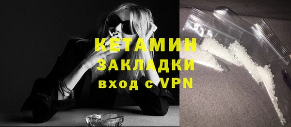 хмурый Аркадак