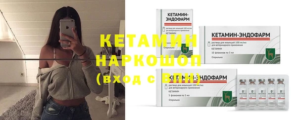 хмурый Аркадак