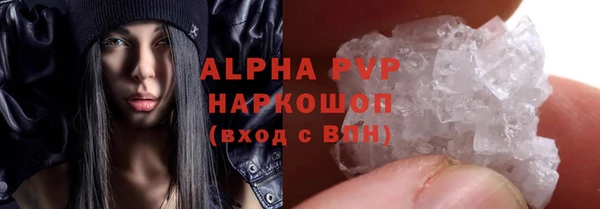 хмурый Аркадак