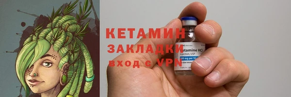 хмурый Аркадак