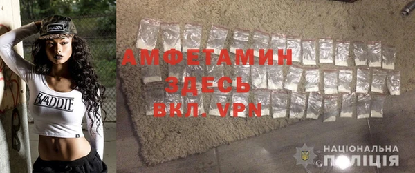 хмурый Аркадак