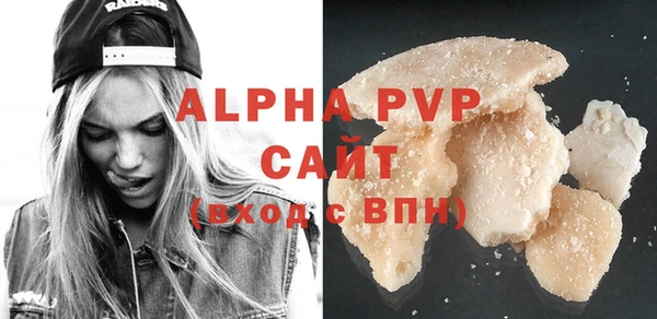 хмурый Аркадак