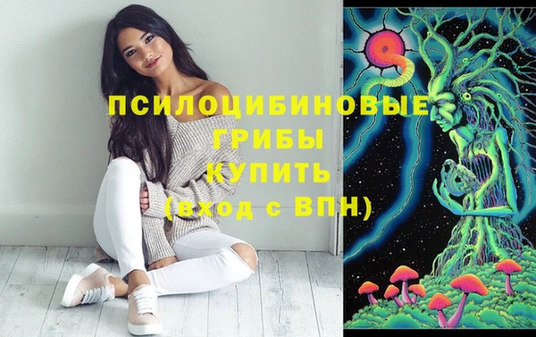 хмурый Аркадак